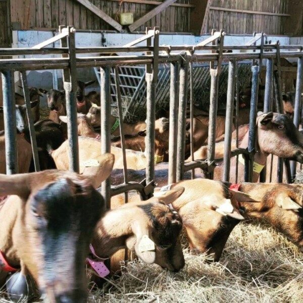 Les nouveautés en cosmétiques solides sont arrivées