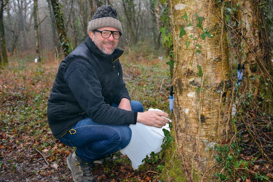 Logo de Au pied de mon Arbre