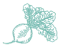 Logo Basique