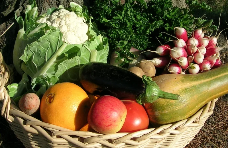 Logo de Bio Terre Avenir