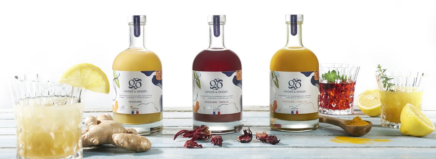 Logo de Ginger & Ginger