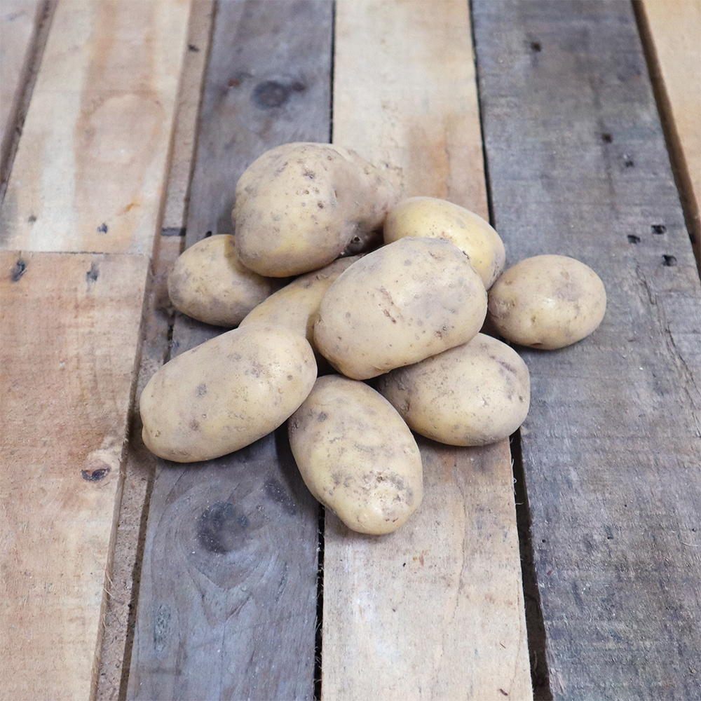 Logo de Le Manoir de la Brosse