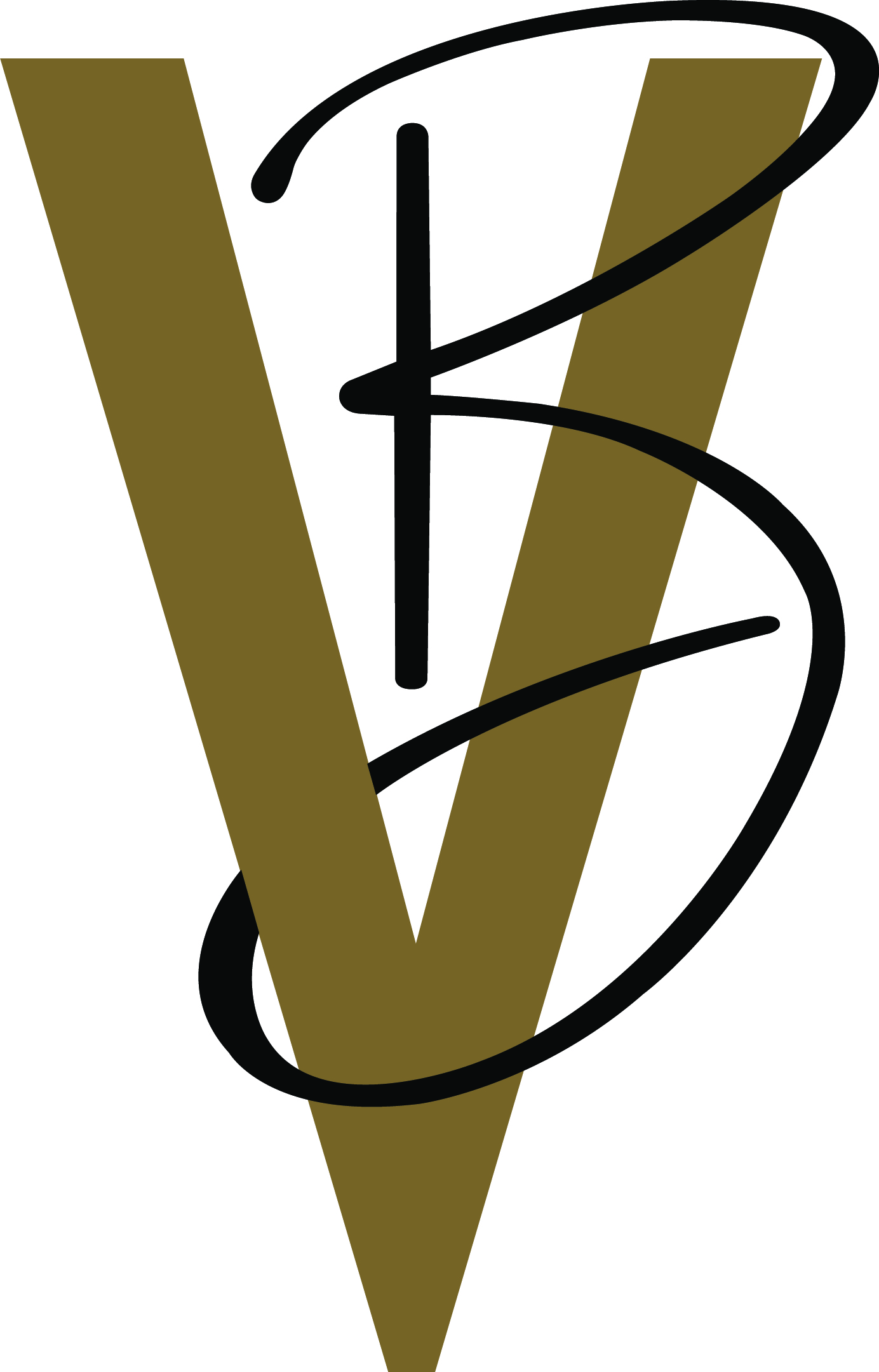 Logo de Vijaya
